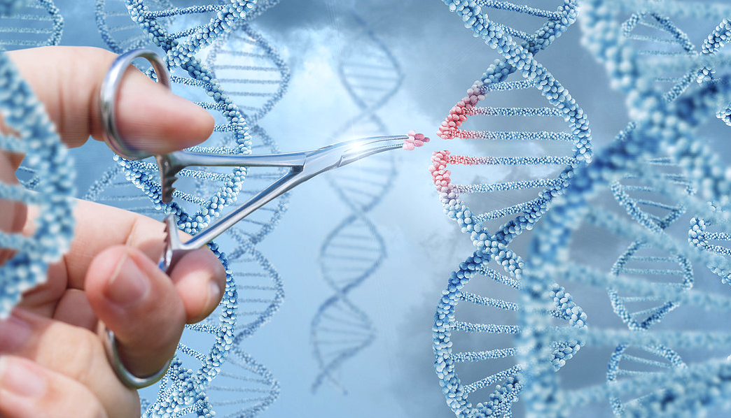 gene editing