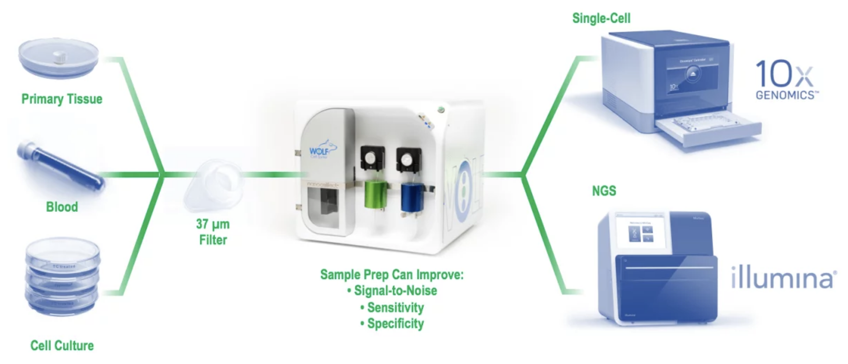 single cell genomics